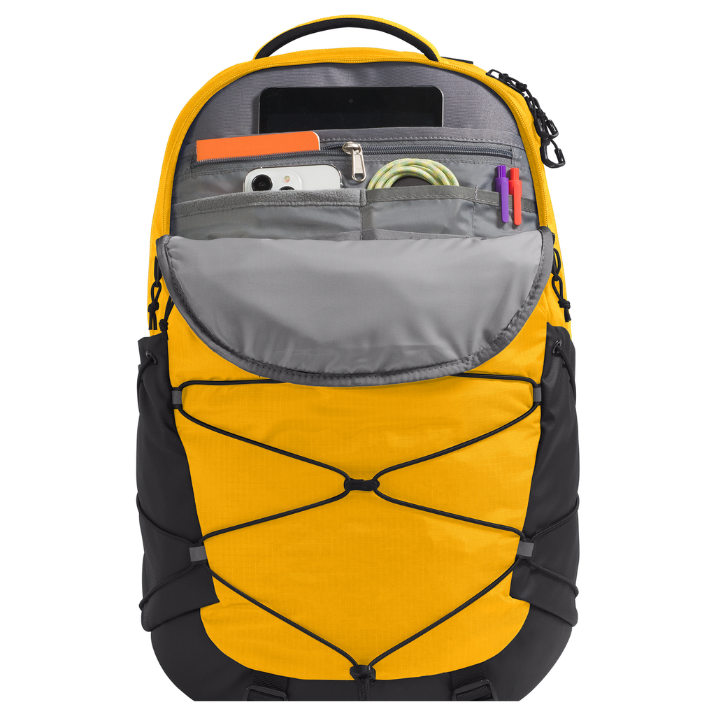 The North Face Borealis Backpack