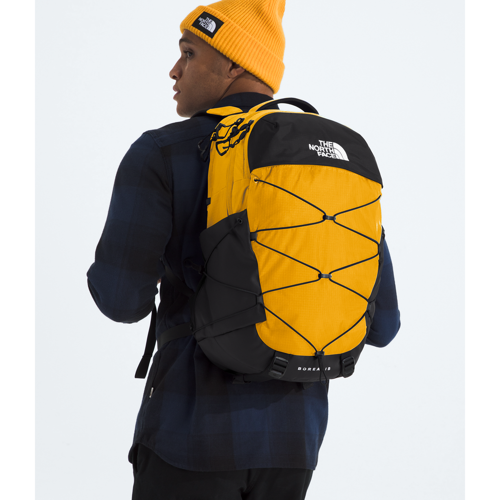 The North Face Borealis Backpack