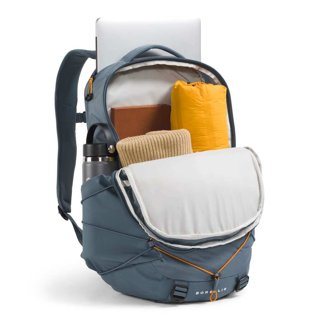The North Face Borealis Backpack