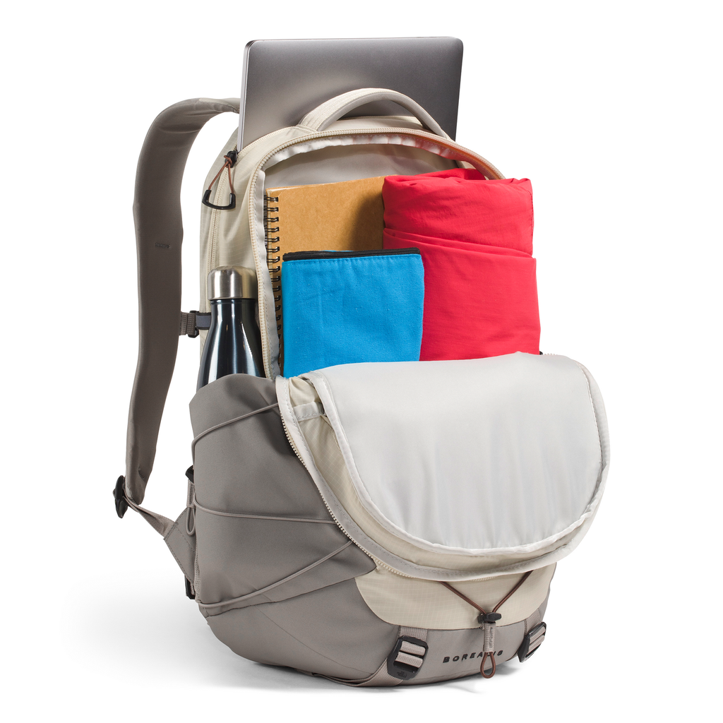 The North Face Borealis Backpack