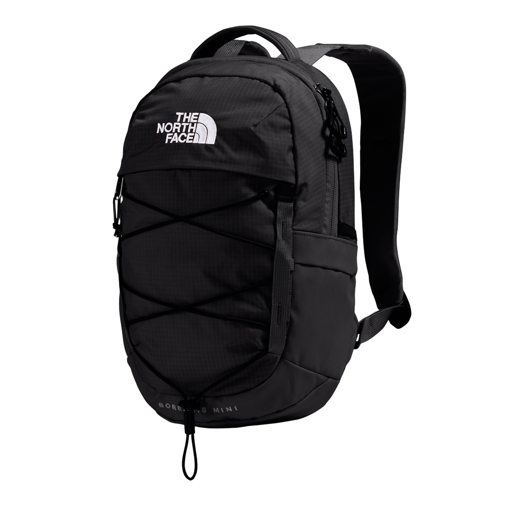 The North Face Borealis Mini Backpack