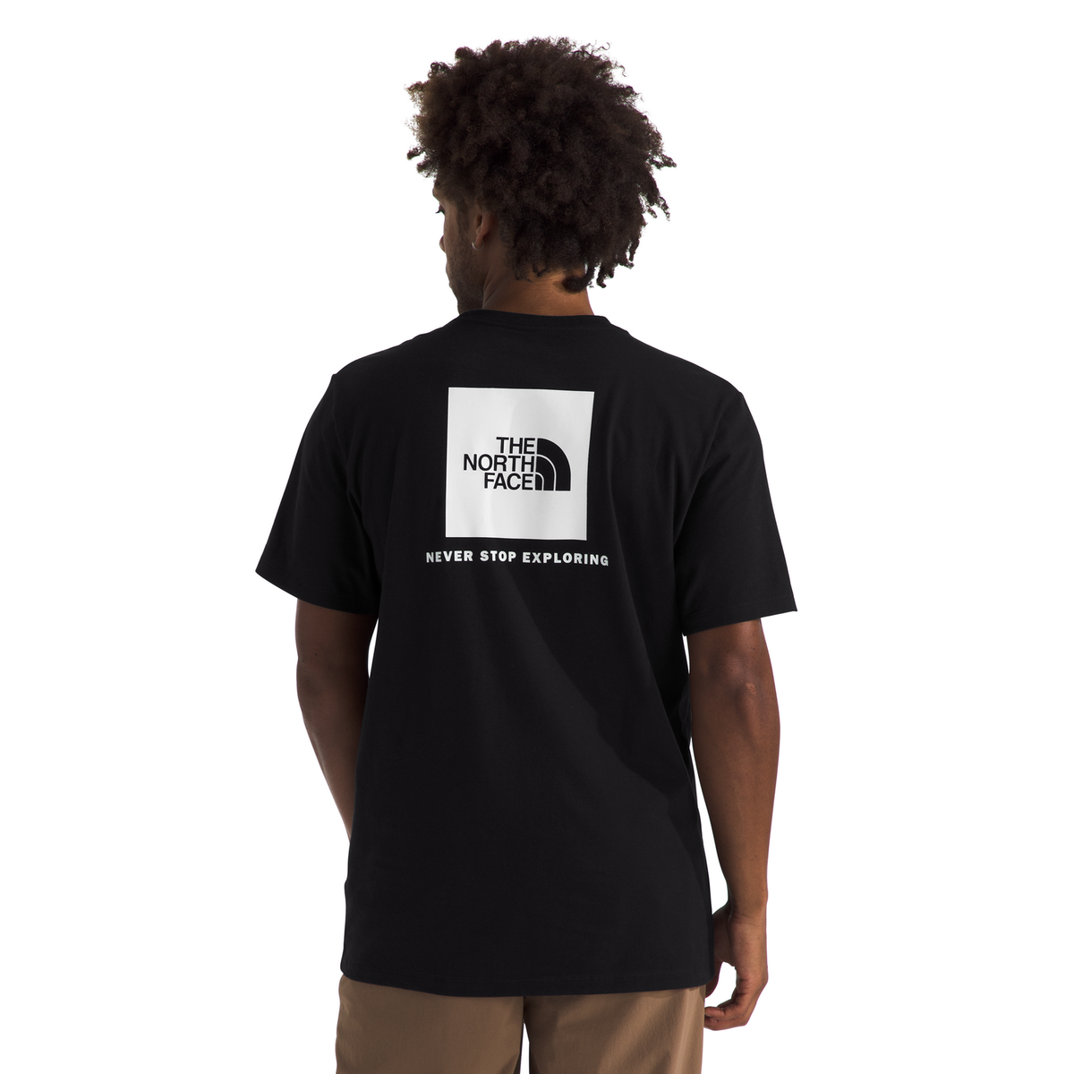 The North Face Men's Evolution Box NSE Regular Short Sleeve