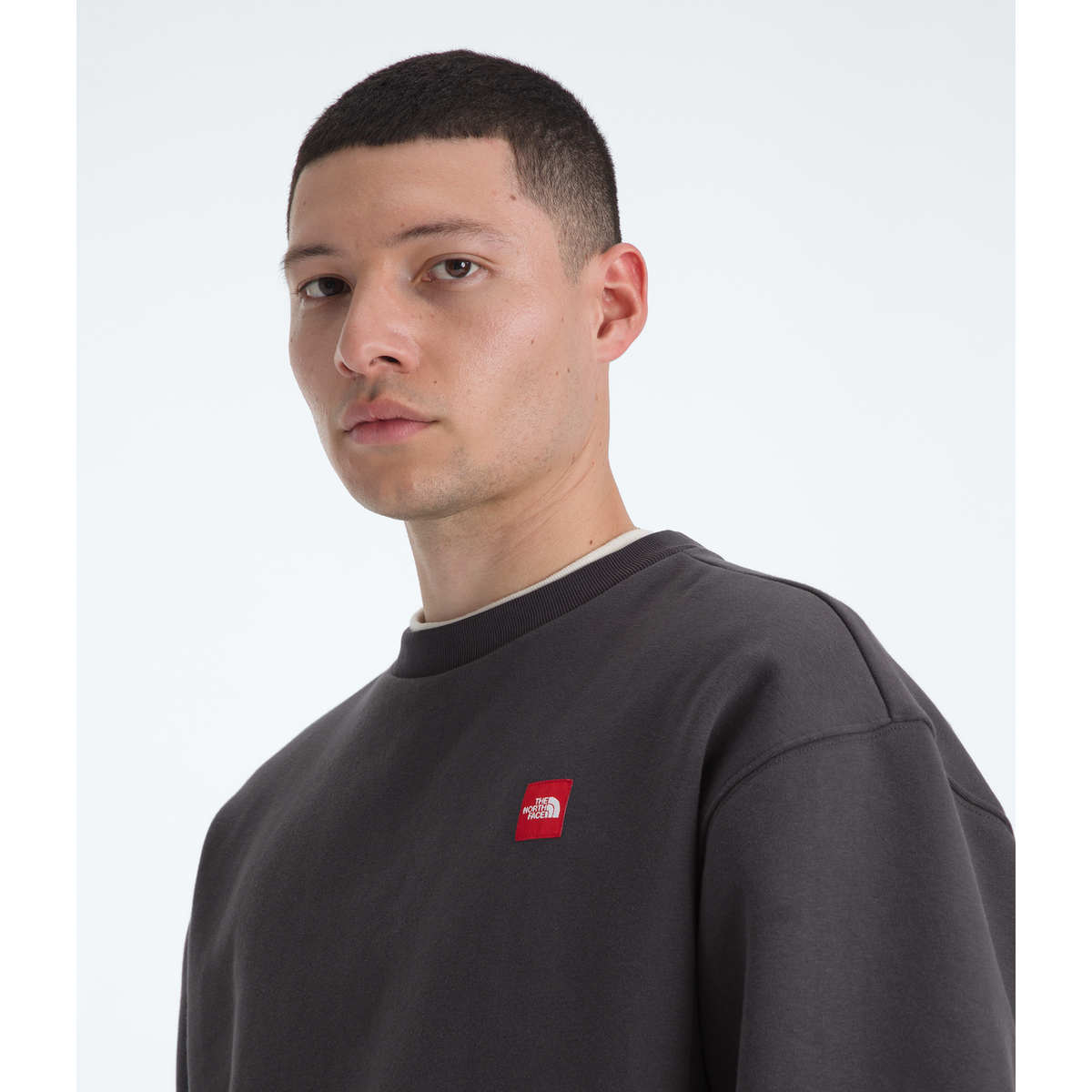 The North Face Men's Red Box Crew in Obsidian