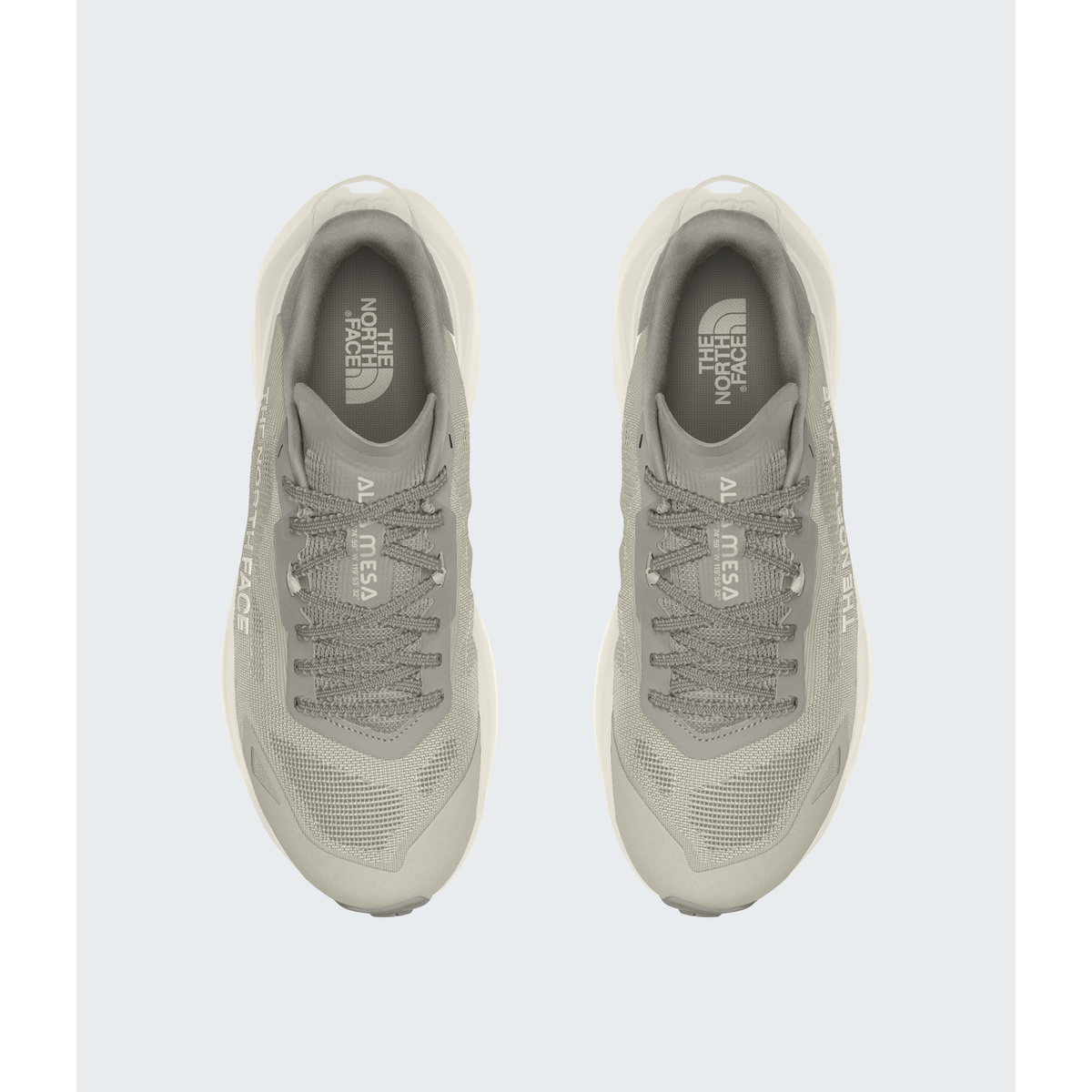 The North Face Men's Altamesa 300 V2 Shoes
