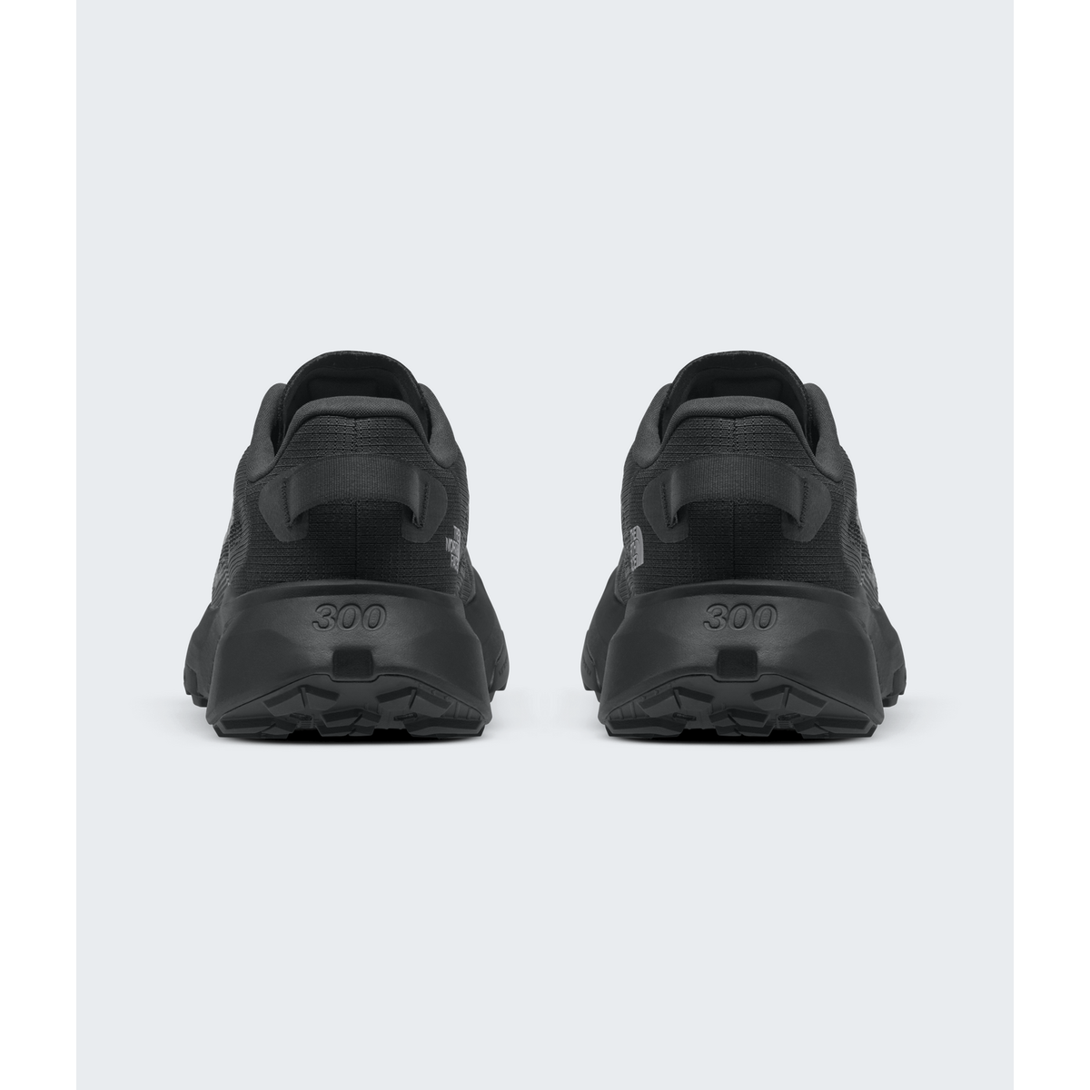 The North Face Men's Altamesa 300 V2 Shoes