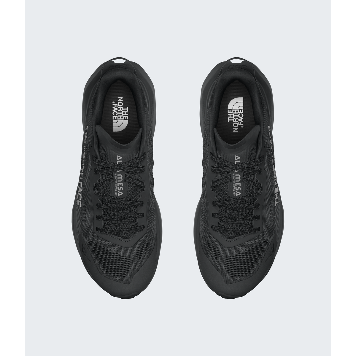 The North Face Men's Altamesa 300 V2 Shoes