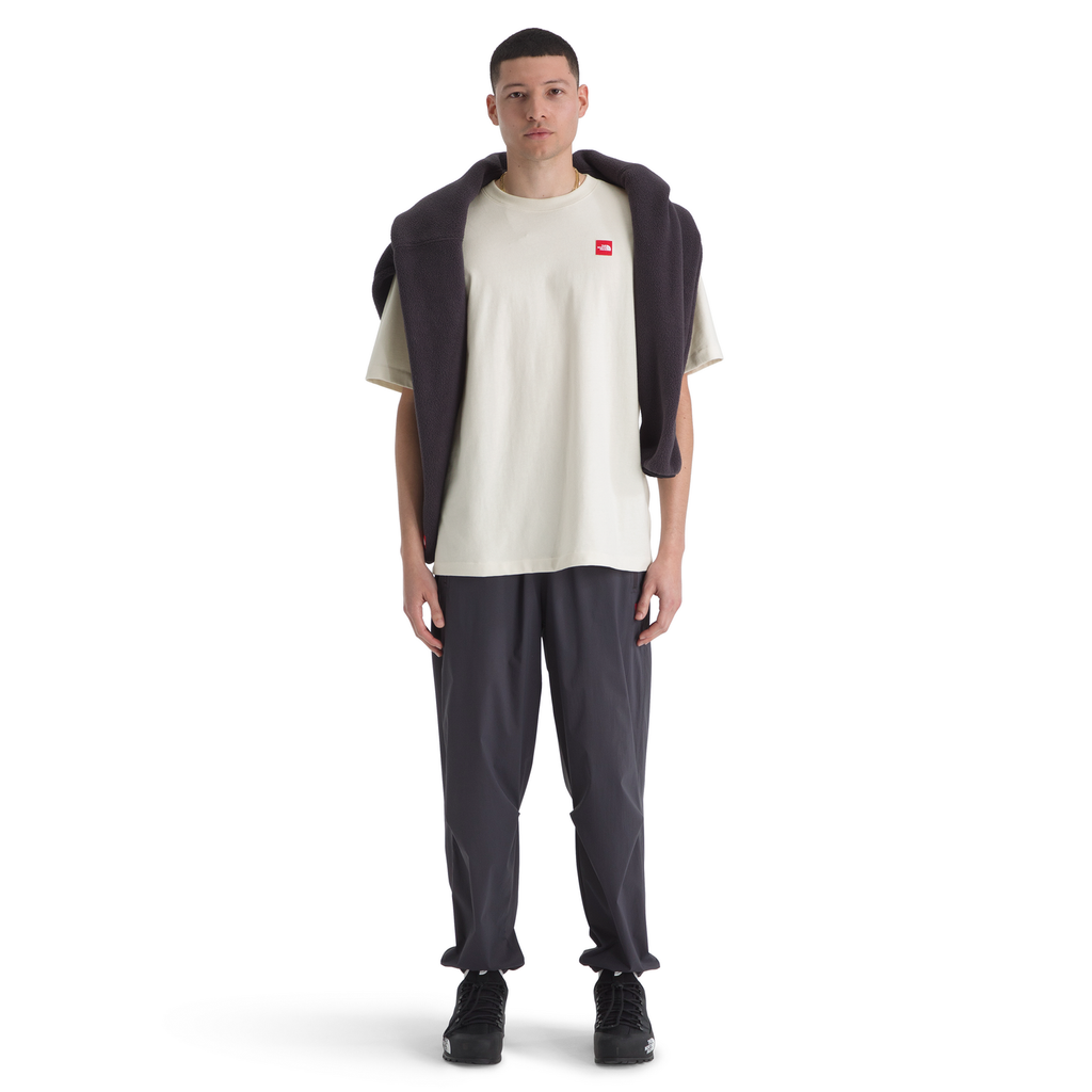 The North Face Men's Red Box Short-Sleeve Tee in White Dune
