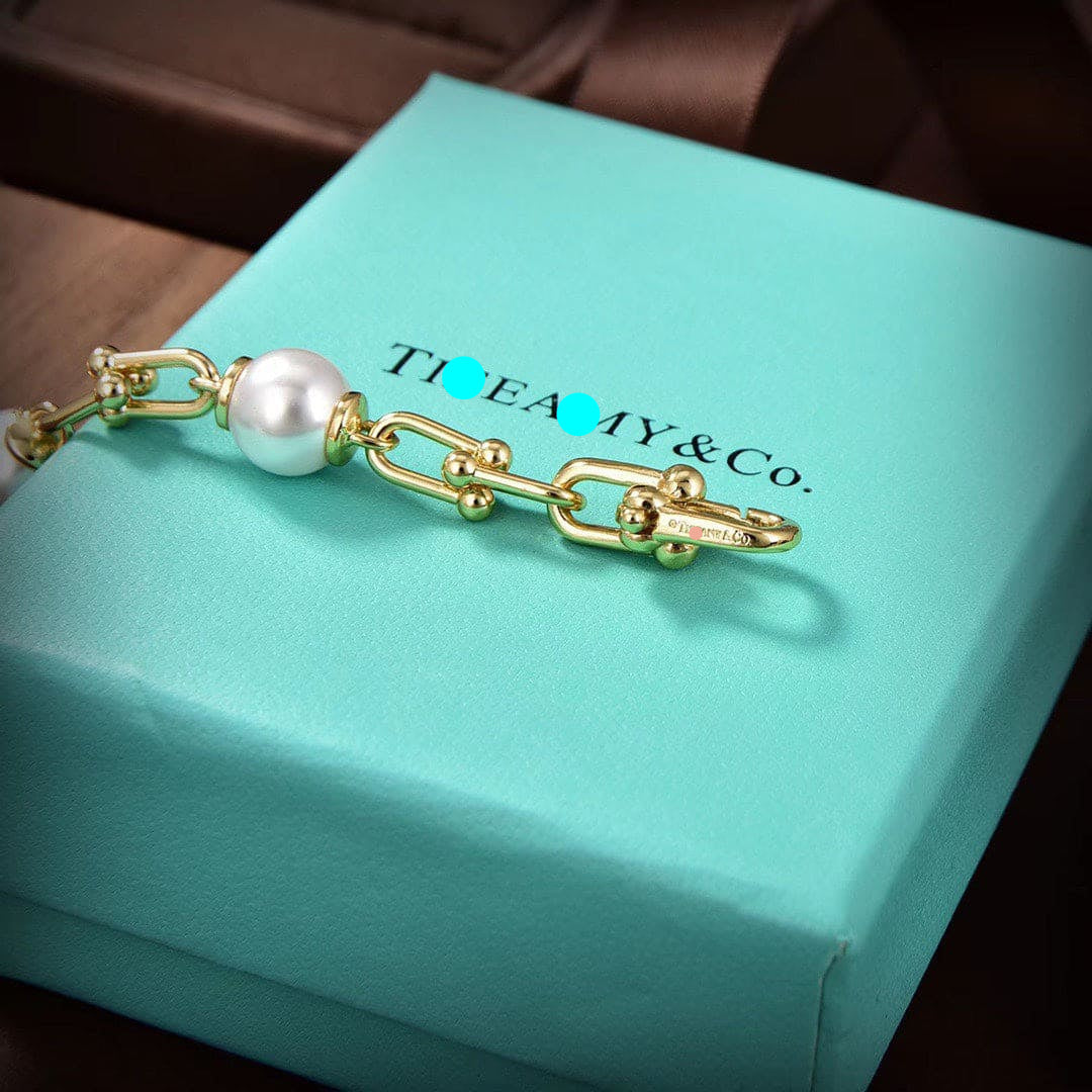 Tiffany HardWear Link Bracelet